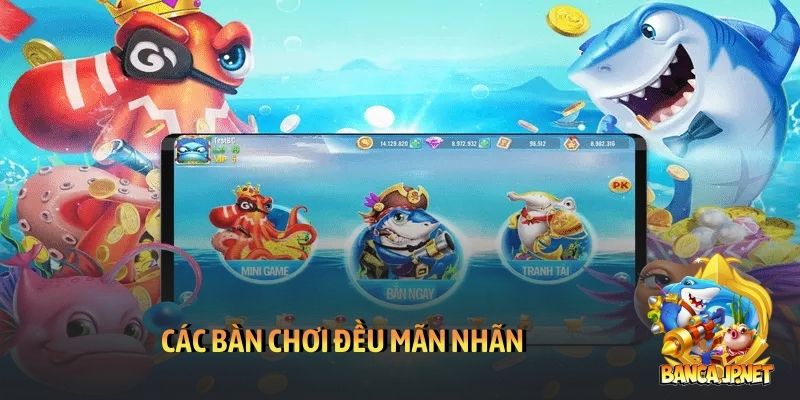 Tỷ phú đại dương - Cuộc săn kho báu khổng lồ đầy bí ẩn 6 Các bàn chơi đều mãn nhãn