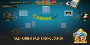 Cách chơi xì dách cho người mới