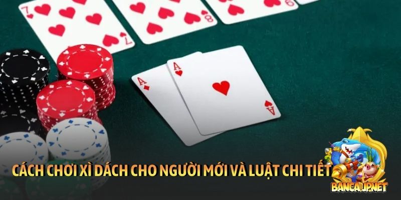 Cách chơi xì dách cho người mới và luật chi tiết