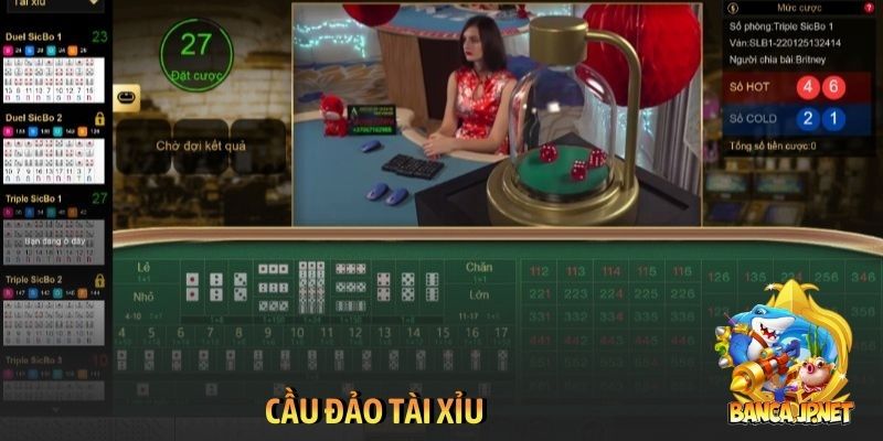 Cầu đảo tài xỉu