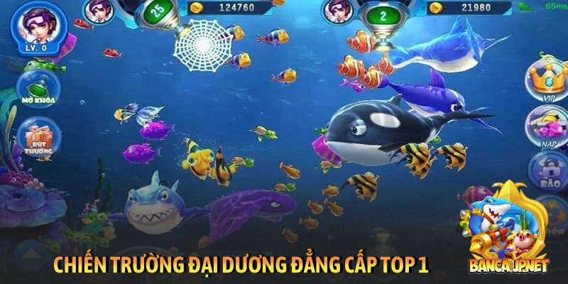 Chiến trường đại dương đẳng cấp top 1