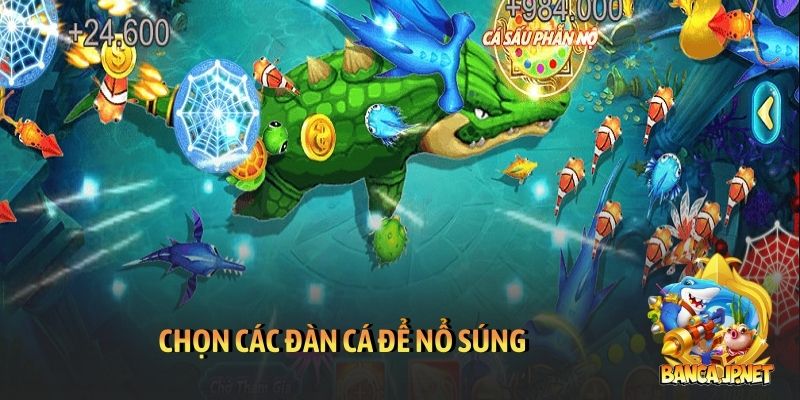 Chọn các đàn cá để nổ súng