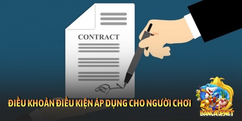Điều khoản điều kiện áp dụng cho người chơi truy cập website