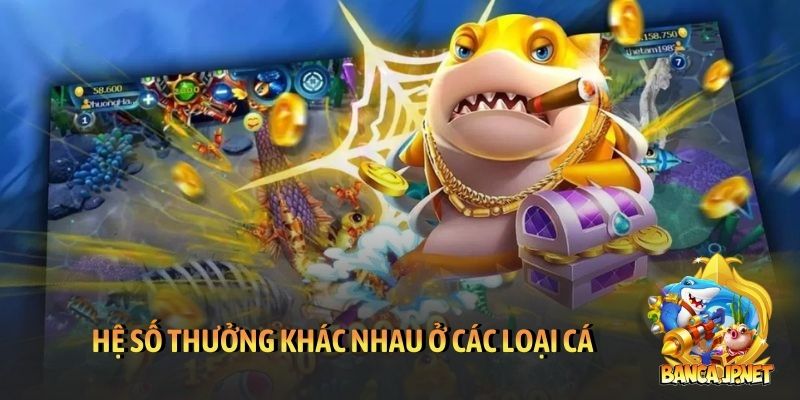 Hệ số thưởng khác nhau ở các loại cá