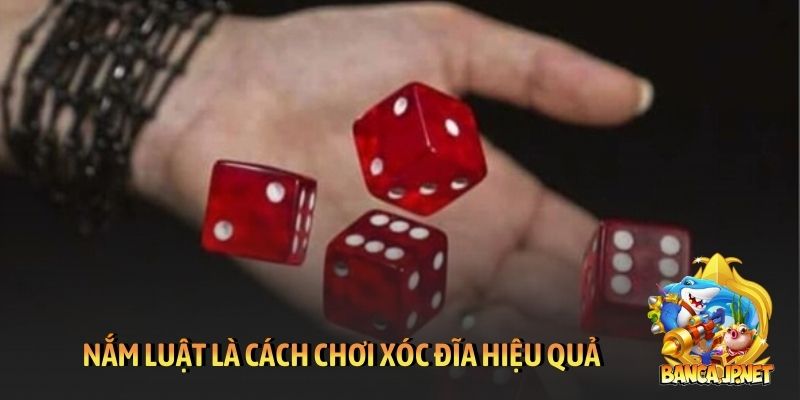 Nắm luật là cách chơi xóc đĩa hiệu quả