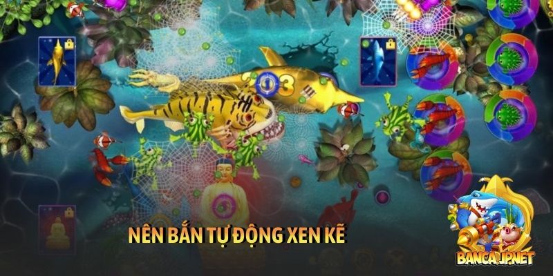 Nên bắn tự động xen kẽ