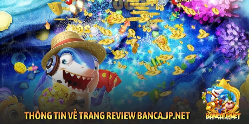 Thông tin về trang review banca.jp.net