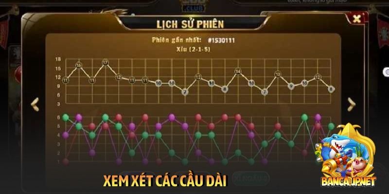 Xem xét các cầu dài